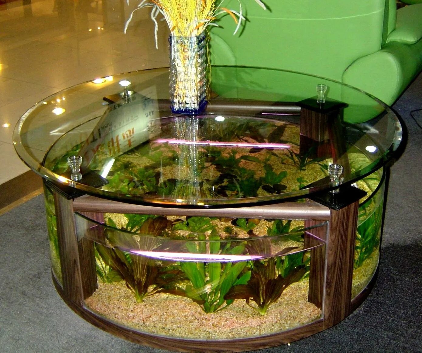 Стол аквариум. Журнальный столик аквариум. Столик для аквариума. Необычный аквариум на стол.