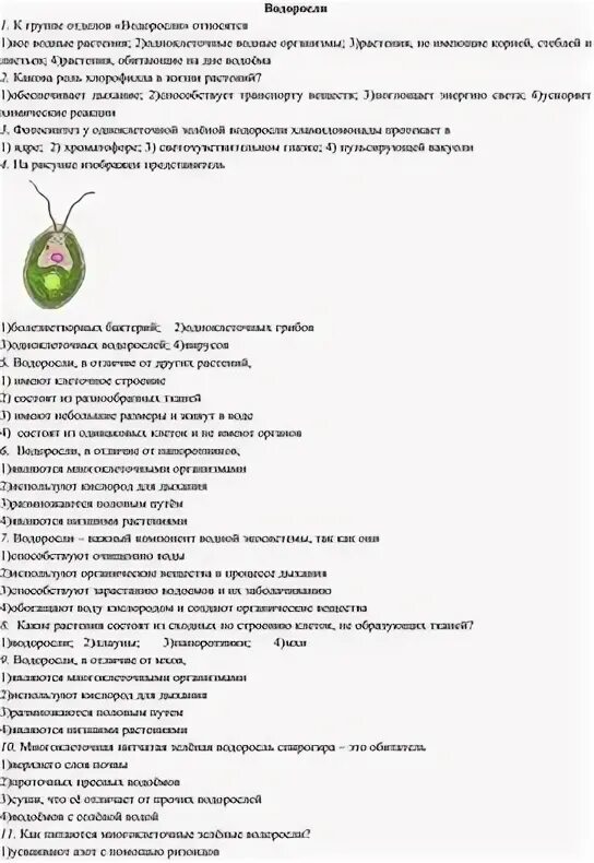 Тест водоросли огэ. Водоросли характеристика огэ. водоросли егэ теория. водоросли егэ биология теория. водоросли подготовка к егэ.
