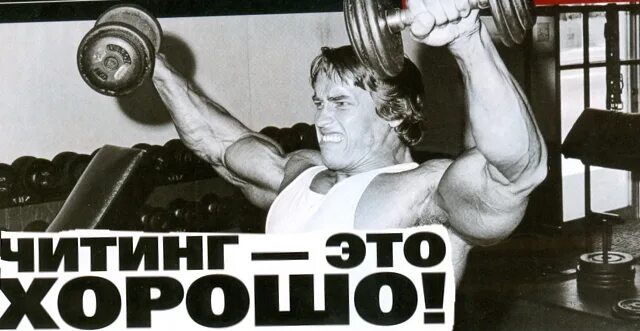 Читтинг
