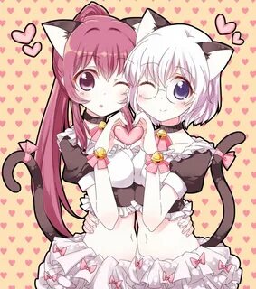 Kiss cat 18
