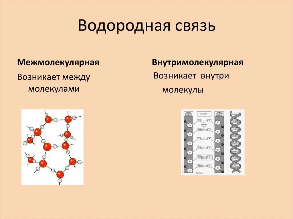 Образования межмолекулярной водородной связи. Вид химической связи водорода. Типы химических связей водородная связь. Внутримолекулярная водородная связь. Типы хим связей водородная.