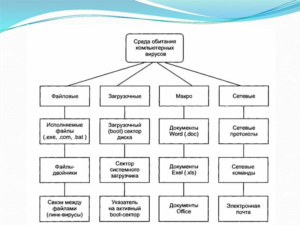 Виды типы вирусов. Классификация компьютерных вирусов схема. Классификация вирусов схема Информатика. Классификация компьютерных вирусов таблица. Классификация вирусов таблица Информатика.