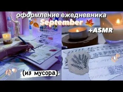 Polly pie ежедневник