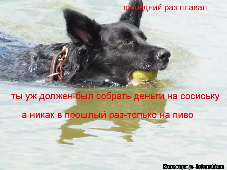 Должно быть уж точно не