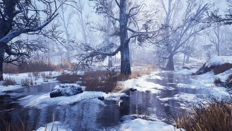 Winter for some environment