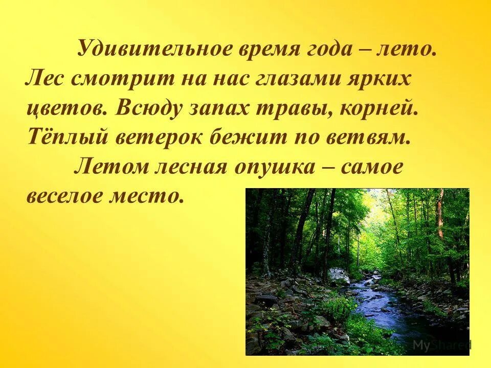 Опиши любое время года. Опиши любое время года. Проект на тему времена года. Опиши любое время года. Описание осени.