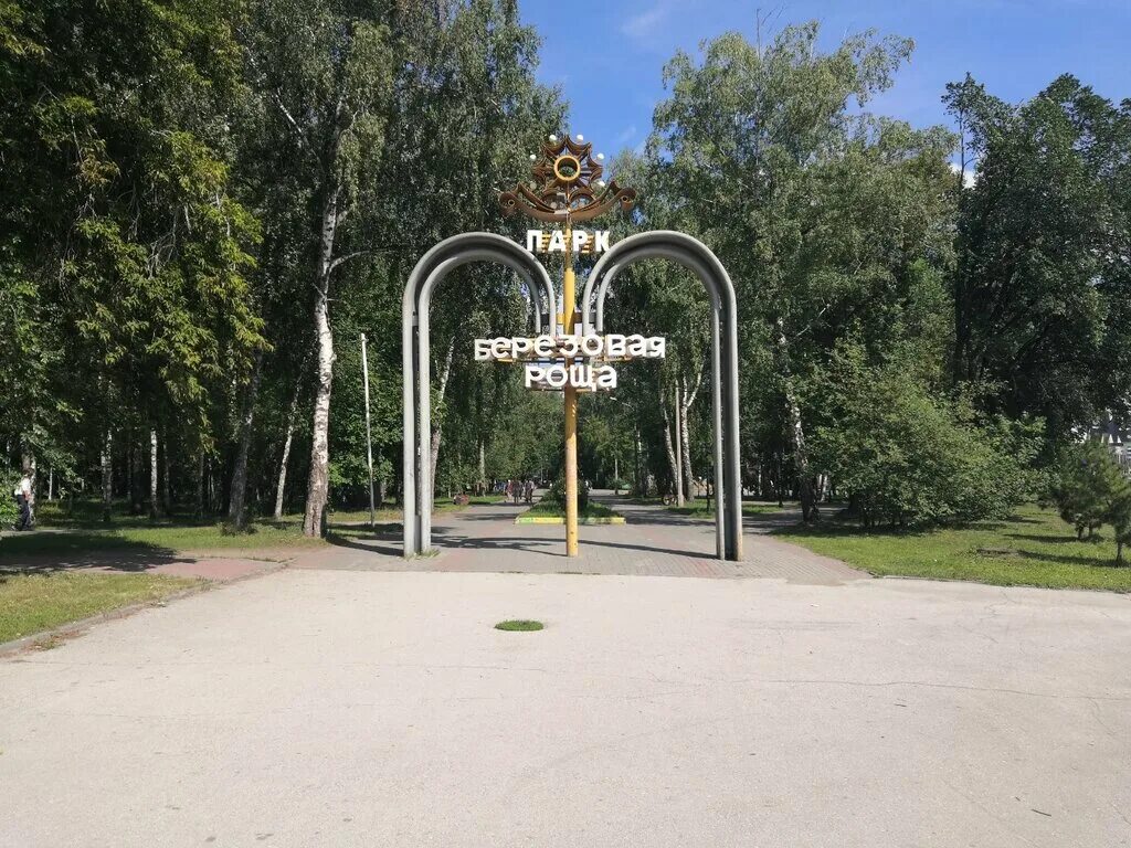 Березовая роща новосибирск. Березовая роща новосибирск. Березовская роща новосибирск. Пкио березовая роща. Берёзовая роща парк новосибирск.