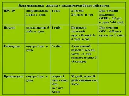 Бактериальные лизаты препараты