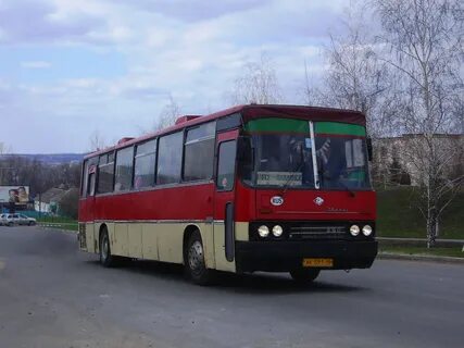 Железногорск курская область автобус