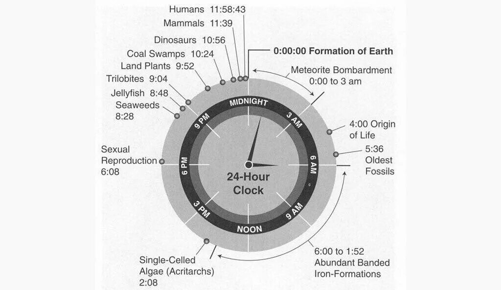 История земли в виде циферблата. История земли в часах. История земли на циферблате часов. История земли за 24 часа. Время жизни изучения