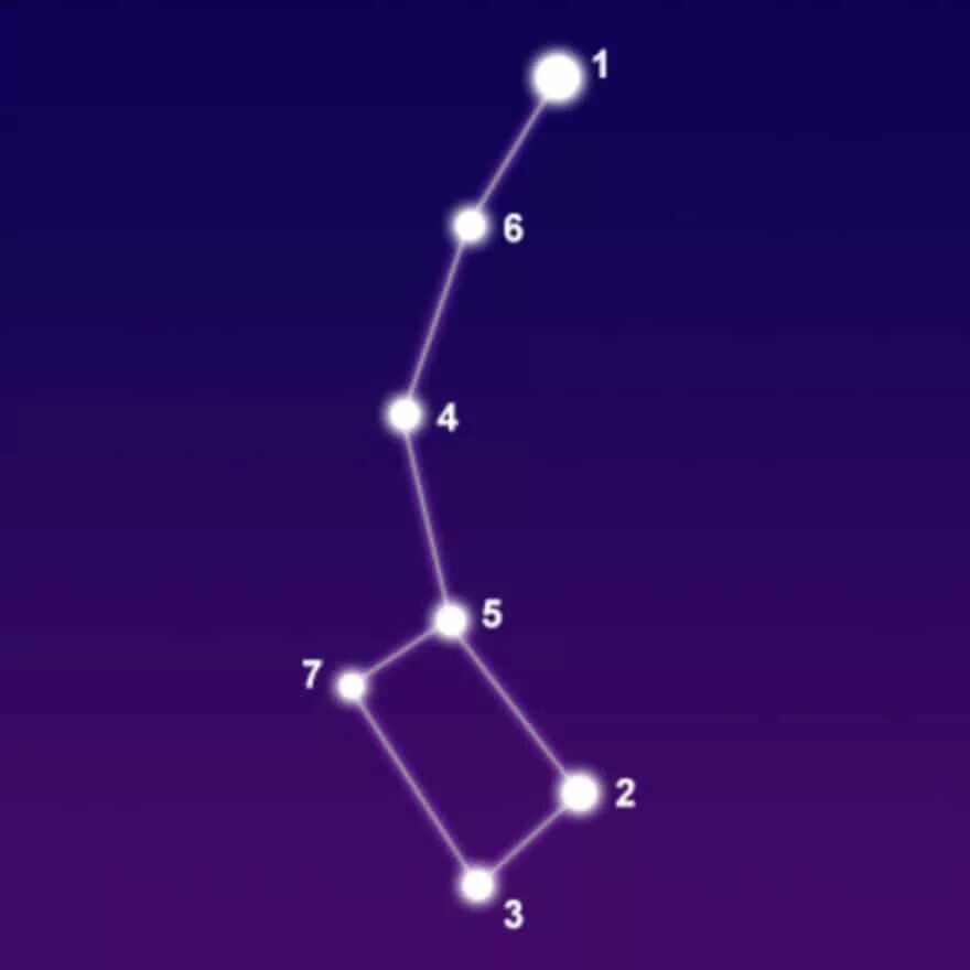 Большая медведица 2024. Малая Медведица Созвездие. Созвездие ковш малой медведицы. Малая Медведица Созвездие и Полярная звезда схема. Полярная звезда, самая яркая звезда, Созвездие малая Медведица.