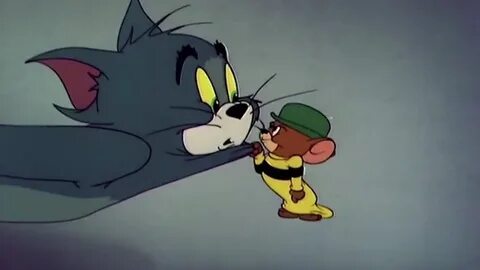 Том мен жери