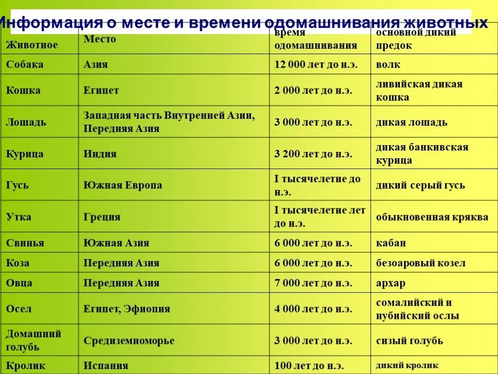 Таблица предков одомашненных животных. Периоды одомашнивания животных таблица. Центры происхождения домашних животных таблица. Время и место одомашнивания животных. Когда начался процесс одомашнивания растений