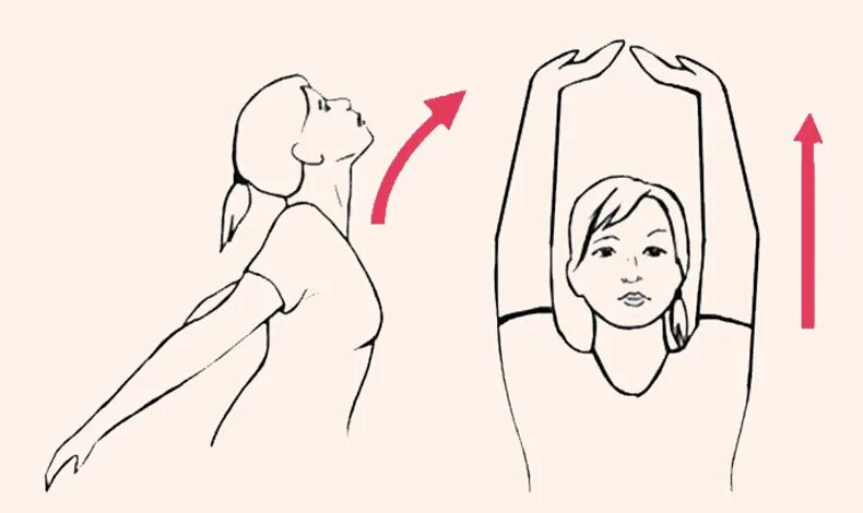 Упражнения для шеи. Зарядка для головы и шеи. Упражнения для спины и шеи. Упражнения для шеи и плечей. Влево вправо в потолок