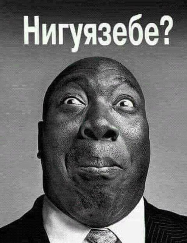 Нигуя зебе. Нигуя зебе