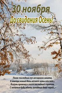 Начало ноября картинки с надписями