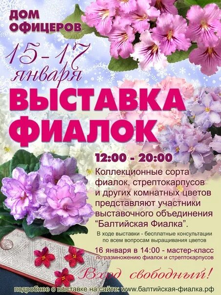 Выставка фиалок в марте 2024. Выставка фиалок. Выставка фиалок в СПБ. Выставка фиалок Фиалковода. Выставка цветов афиша.