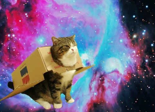Мемы с котами в космосе Мемы с котами в космосе