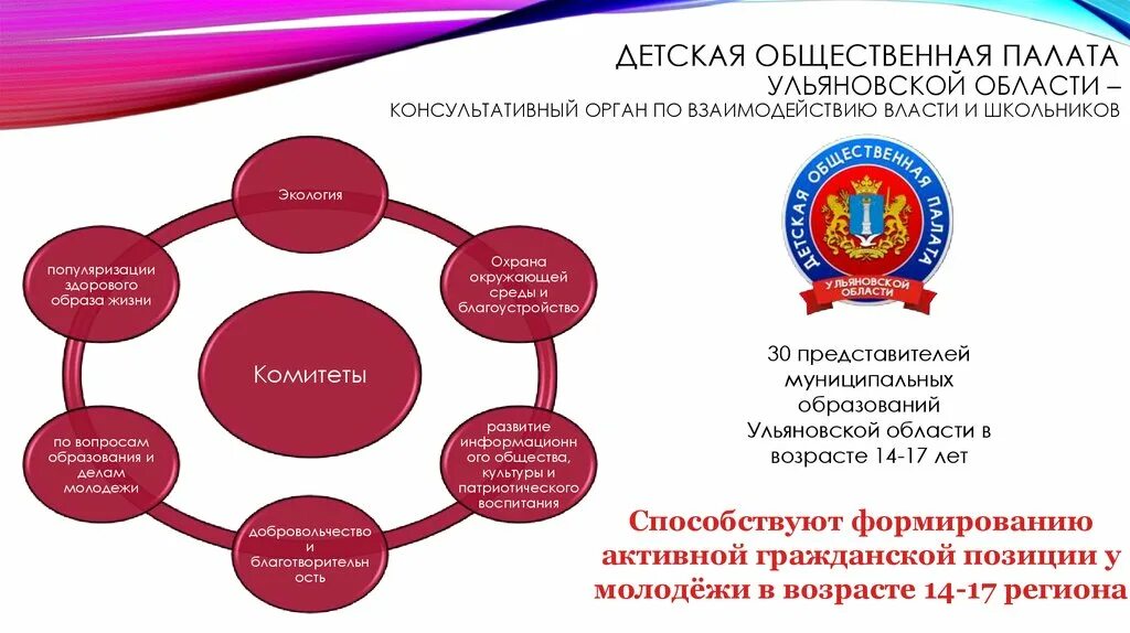 План общественной палаты по культуре новгород. План общественная палата. План работы детской общественной правовой палаты. План общественная палата. Структура общественной палаты.