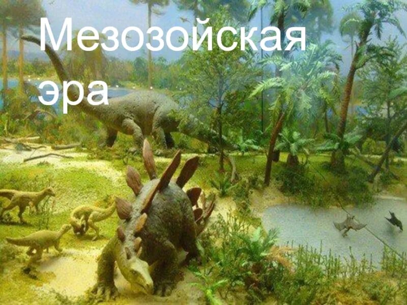 Палеонтология Мезозойская Эра. Меловой период мезозойской эры. Мезозойская Эра растения. Динозавры мезозоя.