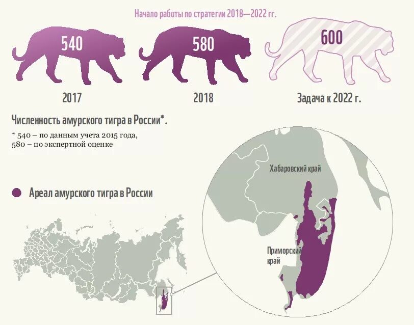 Ареал Амурского тигра. Ареал обитания Амурского тигра на карте. Амурский тигр ареал обитания в России. Ареал обитания амурских тигров. Карта амурский тигр