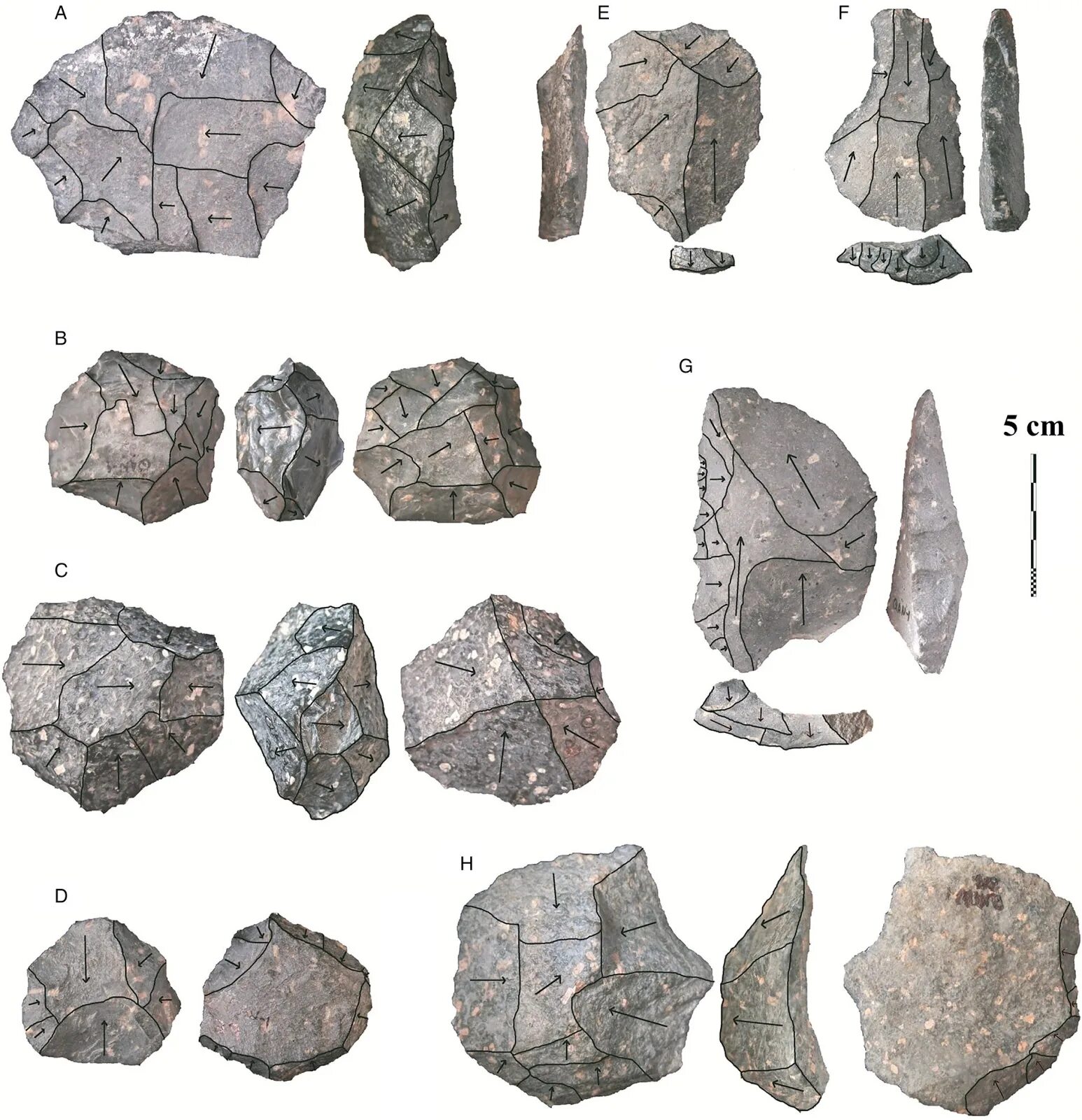 Леваллуа археология. Средний палеолит Леваллуа. Middle Stone. Stone Tools Pack.