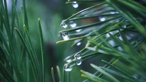 Drops selection
