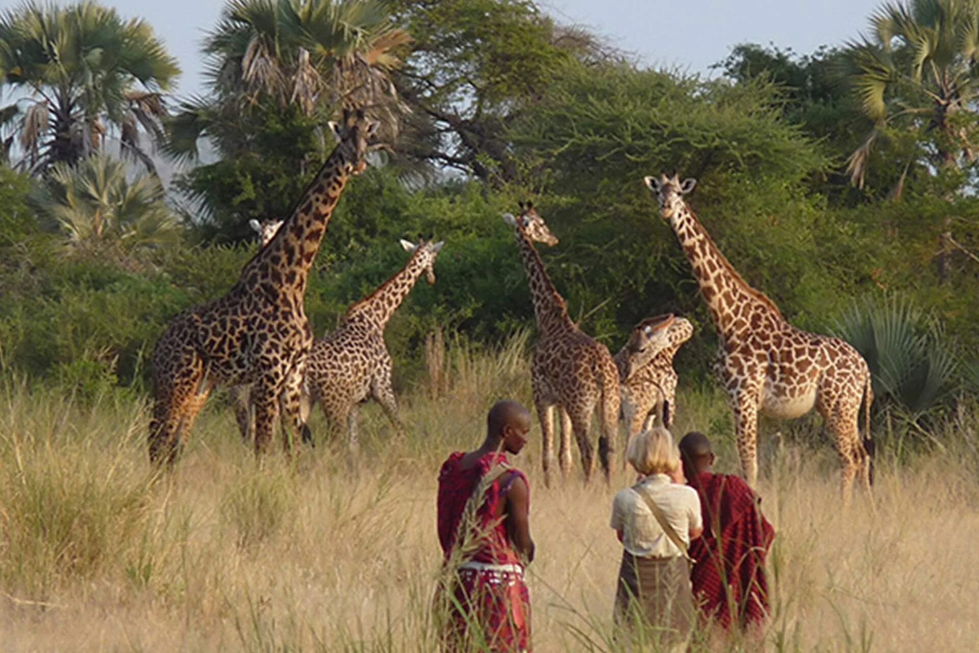 People and wildlife