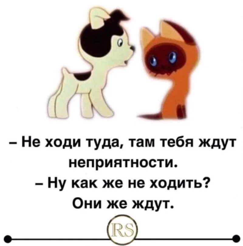 Туда же и за тем же. Там тебя ждут одни неприятности. Неприятности но они же ждут. Там ждут неприятности но они. Не ходи тебя там ждут неприятности.