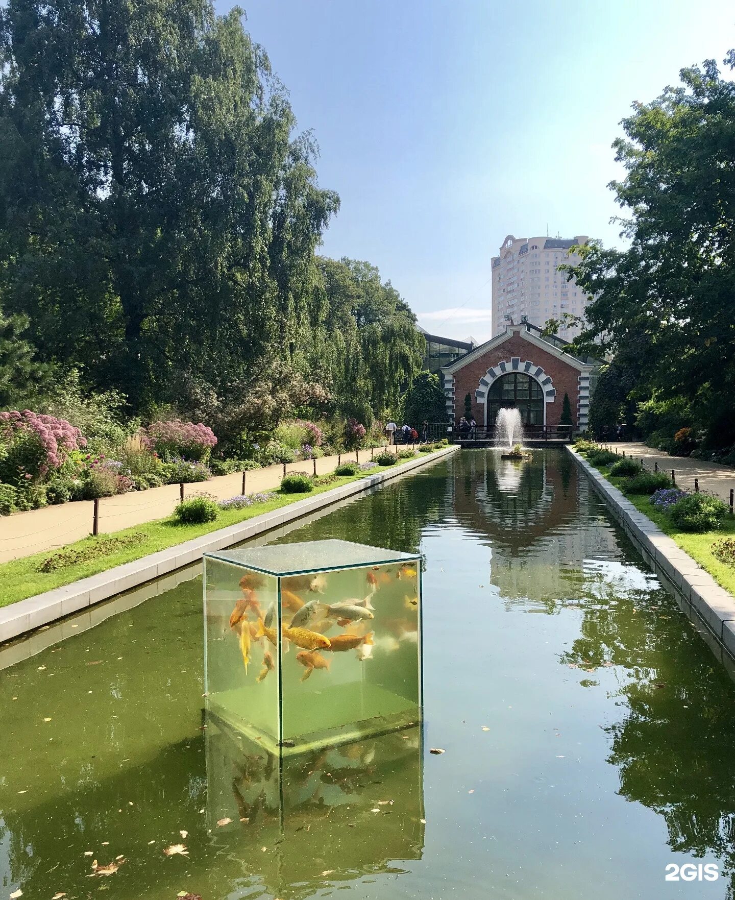 Ботсад мгу аптекарский огород. Ботсад мгу аптекарский огород. Отанический сад мгу «аптекарский огород». В. Аптекарский город.