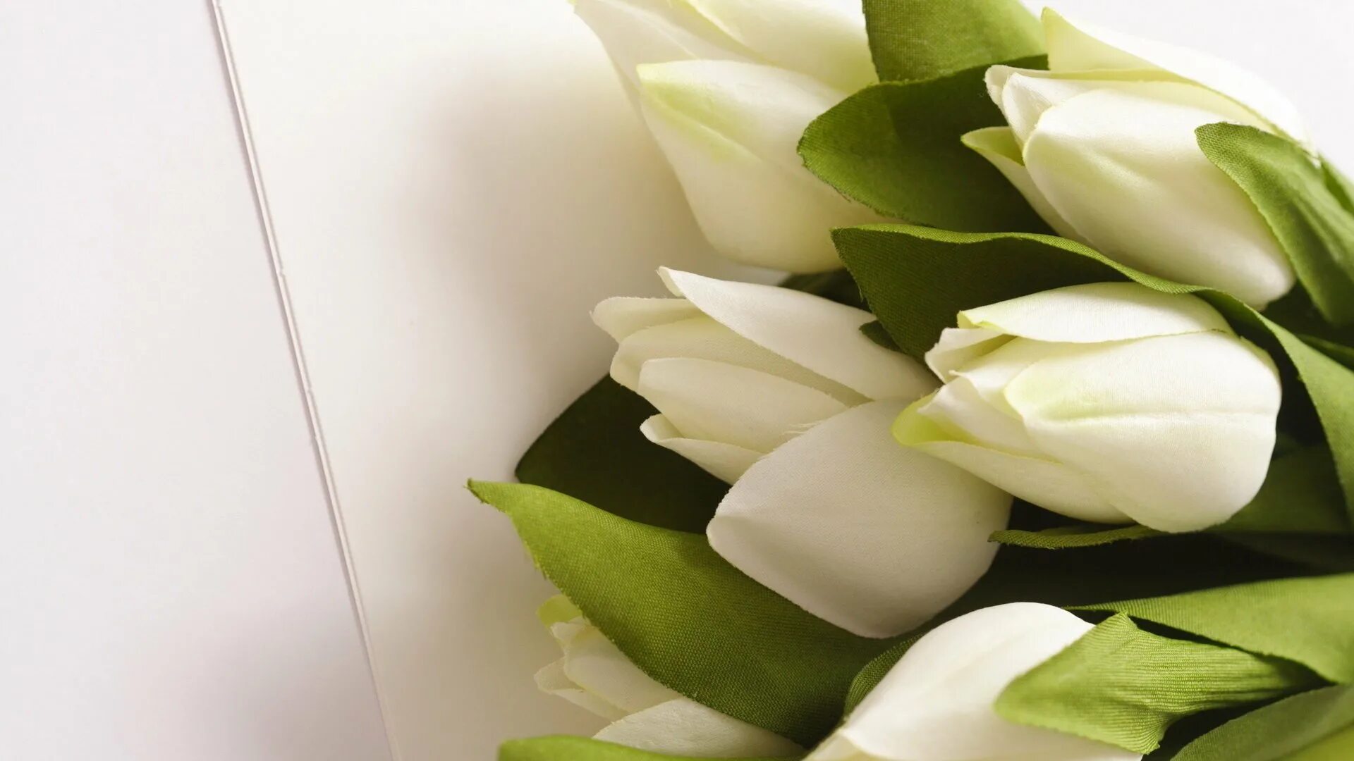 Обои с тюльпанами на телефон. Белые тюльпаны. Букет тюльпанов. Красивый букет белых тюльпанов. Тюльпаны обои.