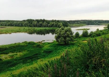 Можайское районное