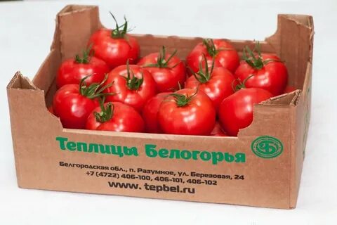 Агрофирмы отзывы