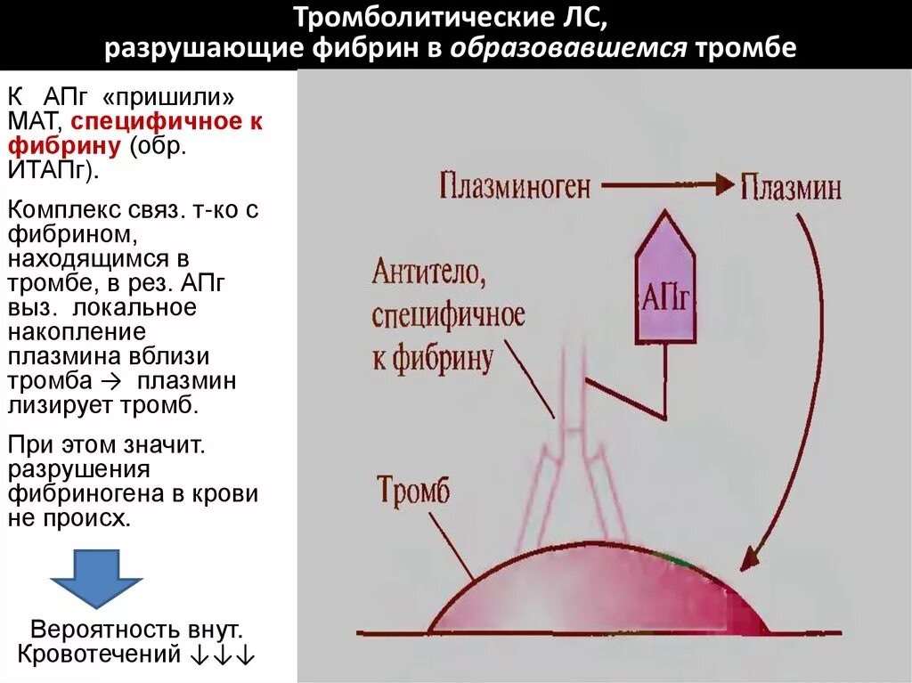 Разрушение фибрина плазмином. Вероятность тромба