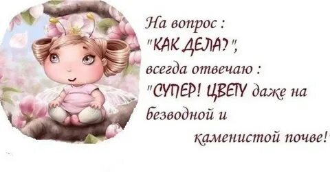 Вопросы как дела как жизнь