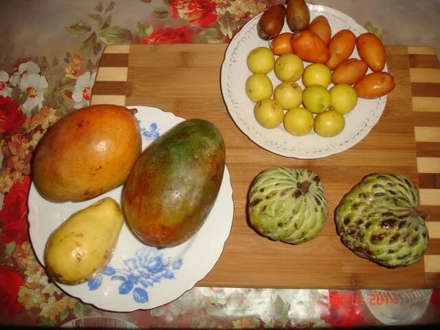 Cómo deshidratar higos en casa. Una de las primeras frutas en ser cultivada, los