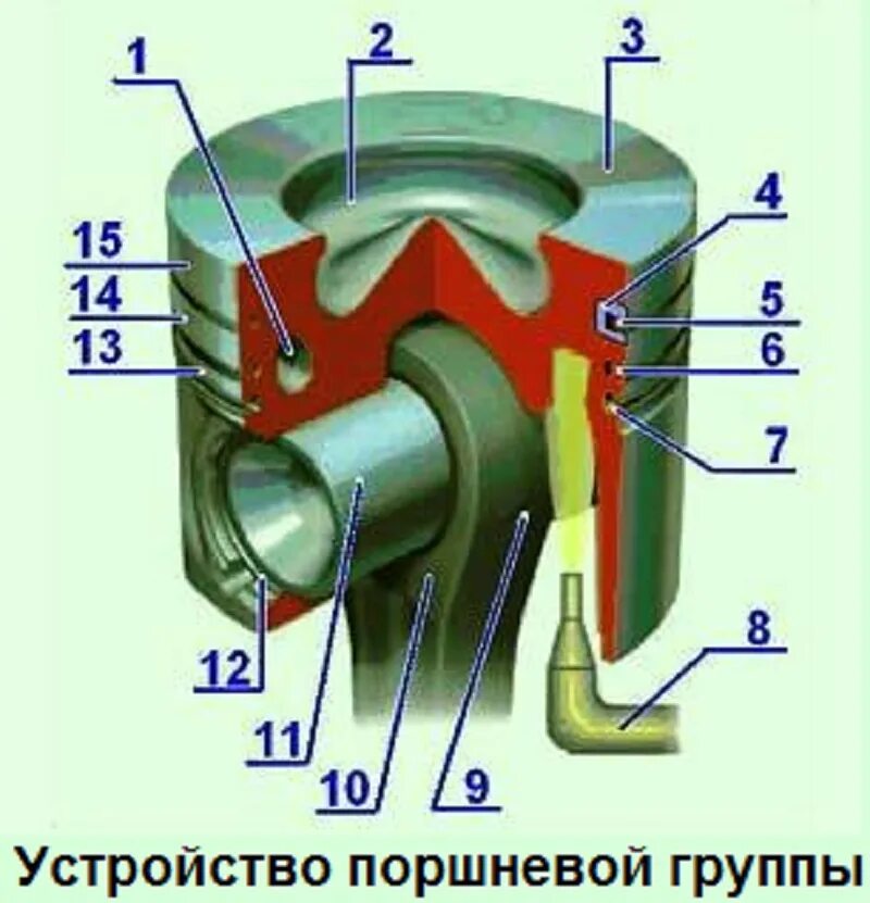 Средняя часть поршня. Камера сгорания поршня двигателя д-245. Конструкция поршня КШМ. Устройство цилиндро поршневой группы. Устройство шатунно поршневой группы двигателя.