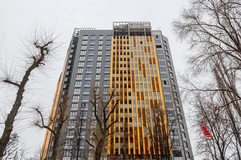 Гагаринский воронеж