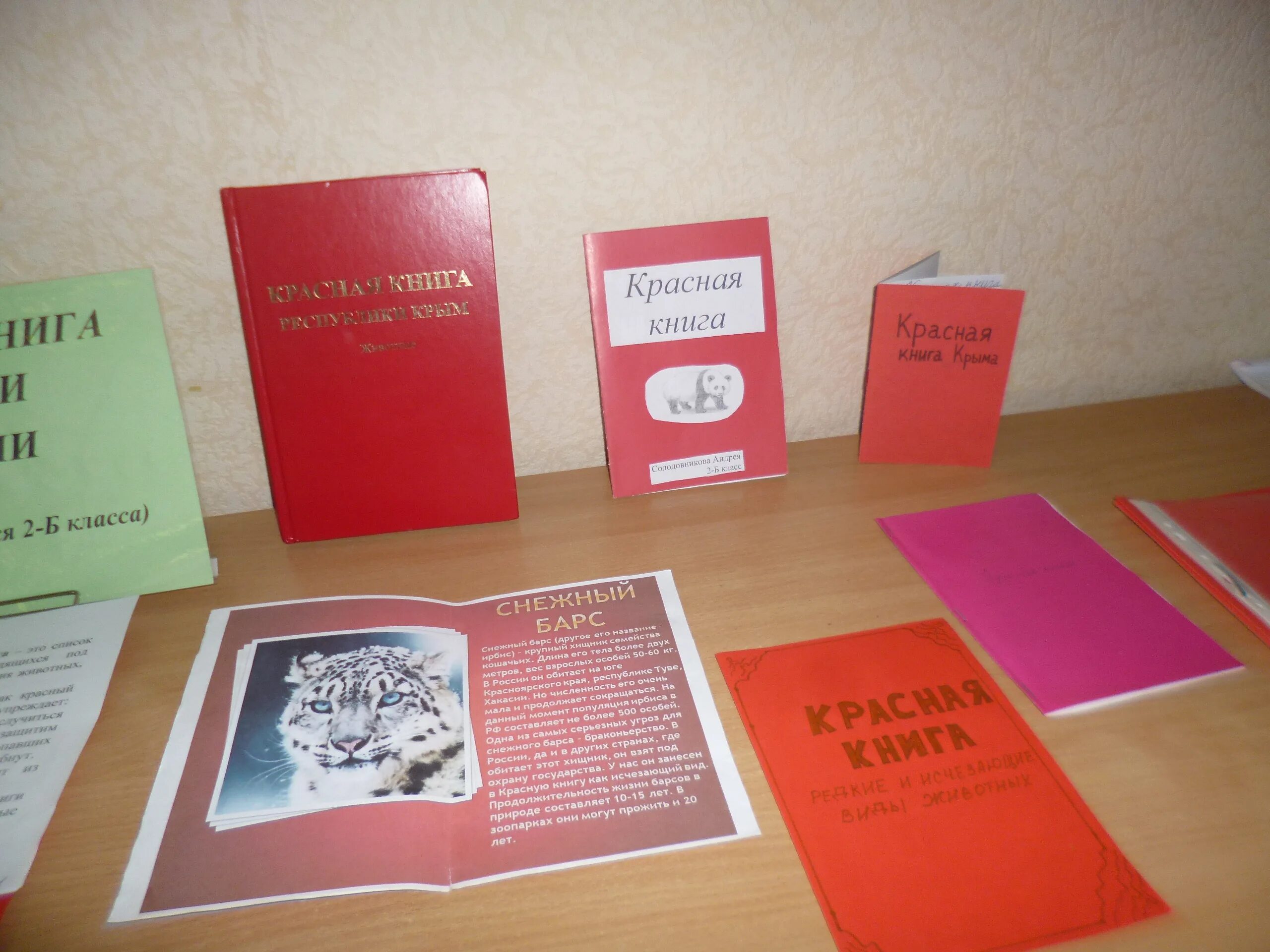 Сделать красную книжку малышку