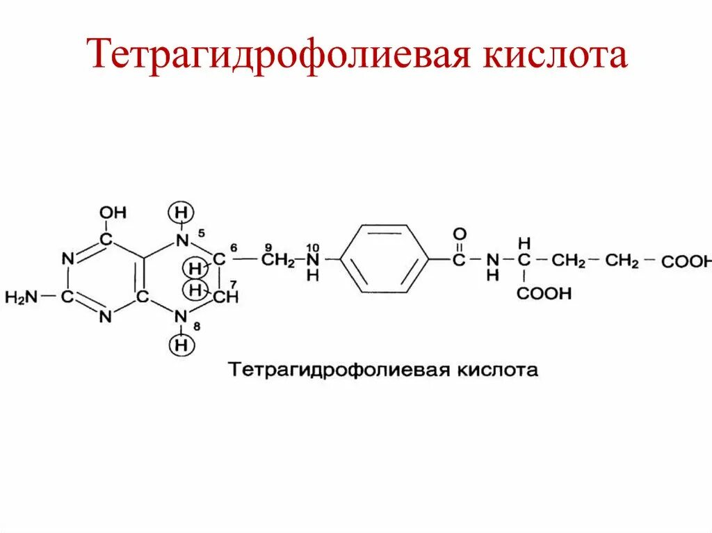 Тетрагидрофолиевая кислота формула. Строение тетрагидрофолиевой кислоты. Тетрагидрофолиевая кислота кофермент. Тетрагидрофолиевая кислота (ТГФК).