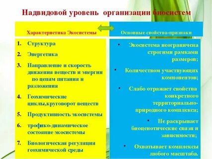 Какие организации жизни являются надвидовыми