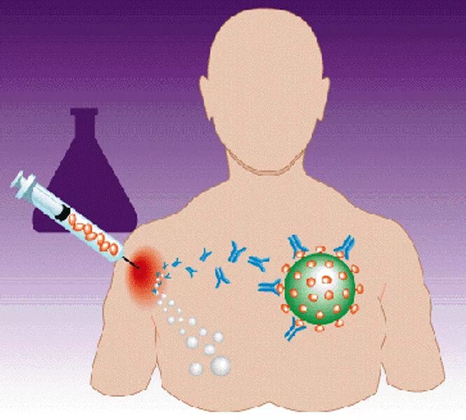 Тело вакцин. Иммунитет. Прививка и иммунитет. Иммунные вакцины.