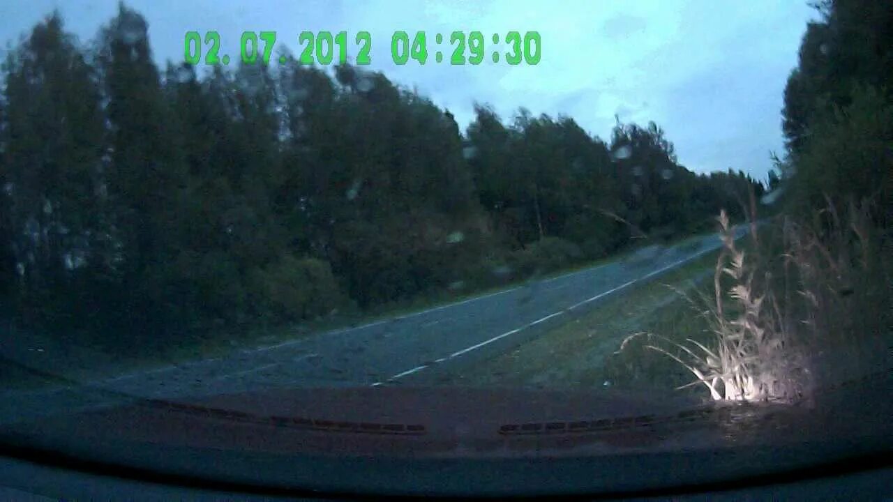 02 07 2012. Дтп гусь хрустальный приора. 2011 знак зодиака. Брелок-пейджер mongoose ls 9000d. Ограждение стремянки осг-60.