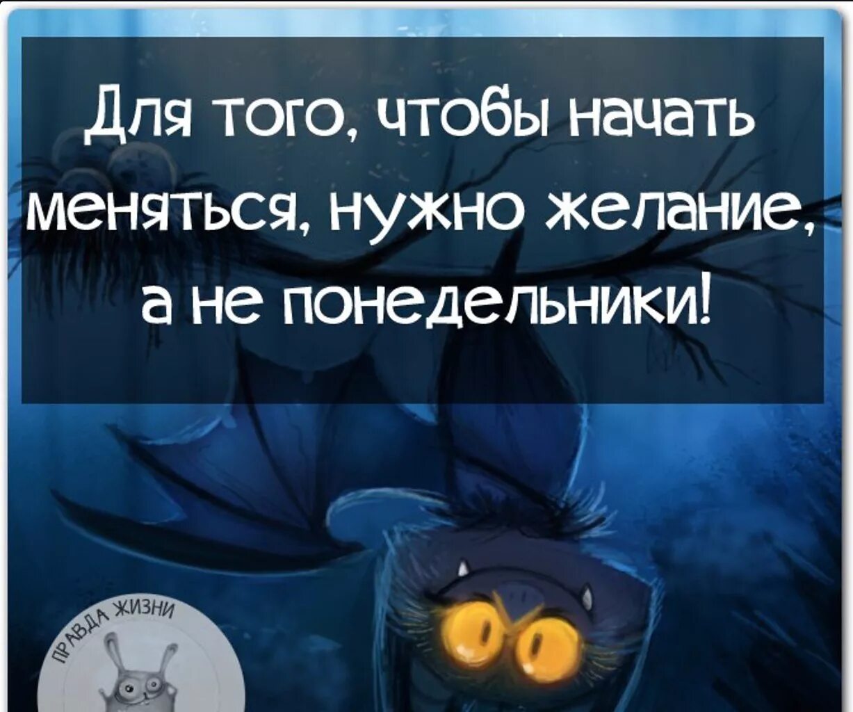 Веселые и Мудрые высказывания. Умные и смешные высказывания. Умные фразы в картинках с юмором. Умные мысли о жизни с юмором.