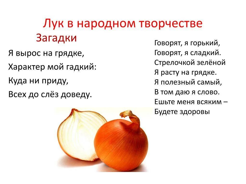 Какие загадки покажи. Загадка про лук. Загадка про лук для детей. Детские загадки про лук. Загадки о луке для детей.