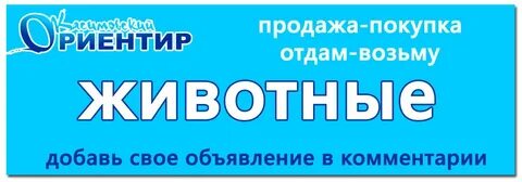 Касимовский ориентир