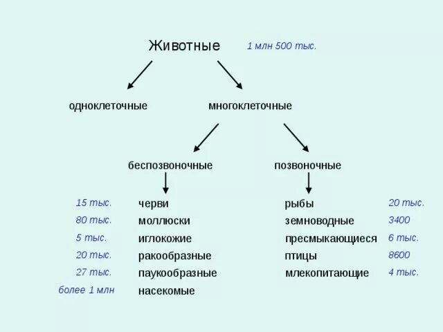 Таблица животных биология 5 класс