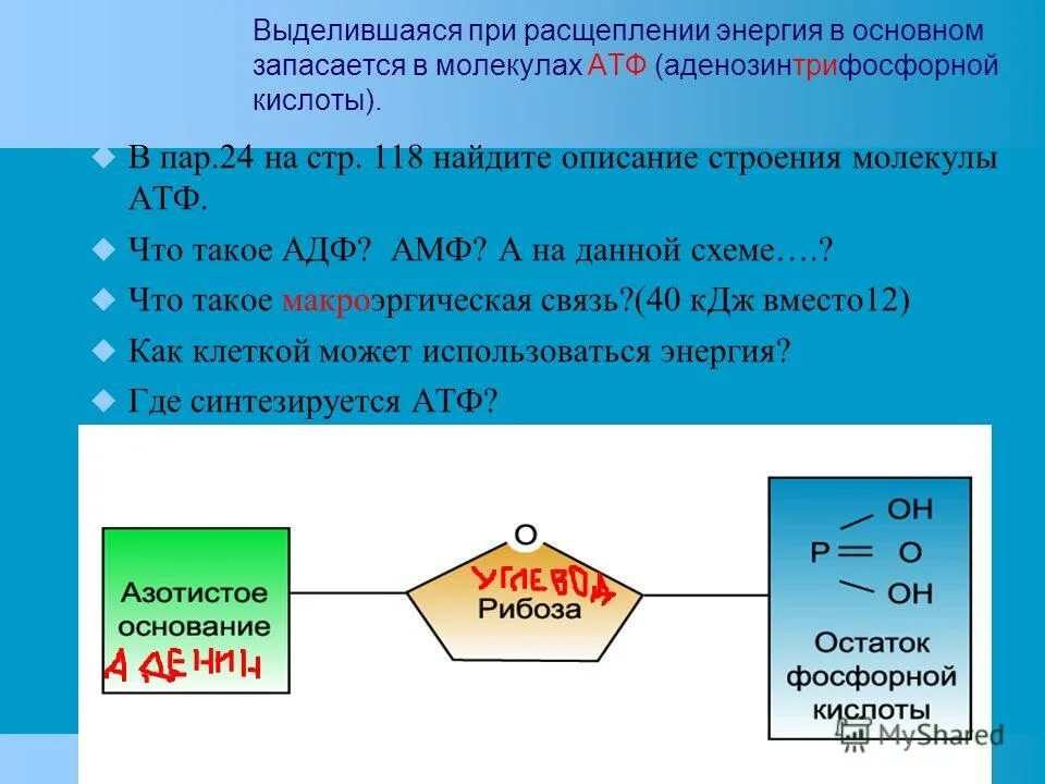 Энергия молекулы АТФ высвобождается в результате. Расщепление молекул АТФ. Выделение АТФ. Распад молекулы АТФ. Этапов окисления молекул крахмала