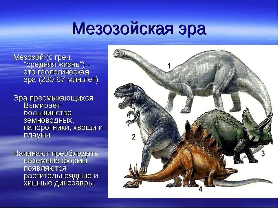 Главное событие в конце мезозоя