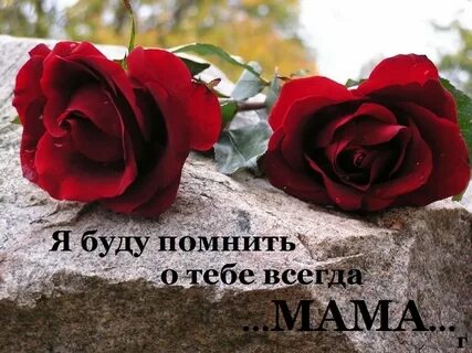 Цветы вечно говоря